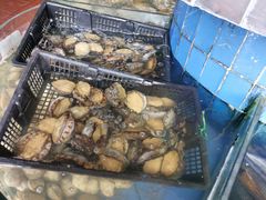 -良昌老味·海南老字号
