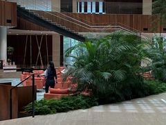 -北京望京凯悦酒店The Lounge大堂酒廊