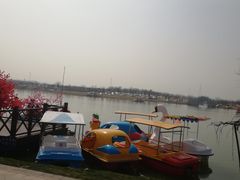 -灌云梅园景区