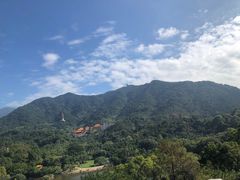 -深圳仙湖植物园