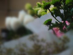 -亭亭鲜花店(中山北路店)