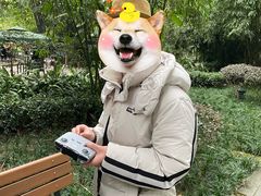 -望江楼公园