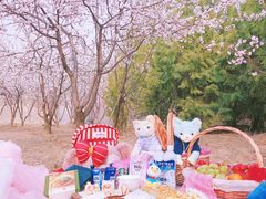 -盒马鲜生(大成店)