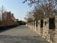 -水绘园