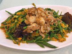 黄瓜苗拌扇贝-双井轩(双井店)