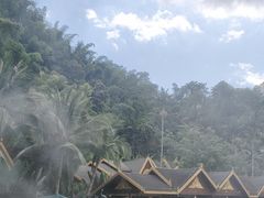 -西双版纳原始森林公园