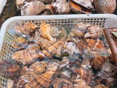 -钱库里海鲜自助(唐山街店)