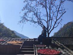 -林坑古村落