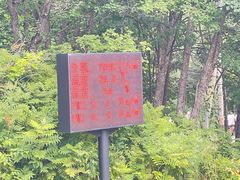 -五营国家森林公园