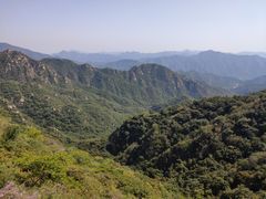 -大岭沟猕猴桃谷风景区