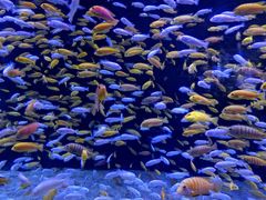 -成都浩海立方海洋公园