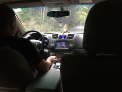 -漫山居私汤民宿全竹宴