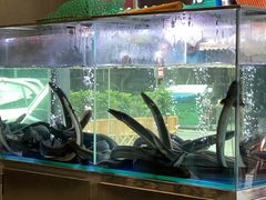 -本炙炭烤·蒲烧活鳗料理店(金沙洲店)