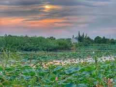-泗洪洪泽湖湿地景区