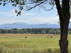 -野鸭湖国家湿地公园