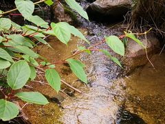 -碓臼峪自然风景区