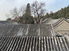 -颐和园