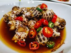 小花螺-黄寺蒸汽海鲜(黄寺大街店)