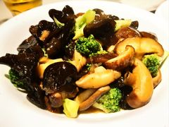 -大雄九老菜馆(南门桥店)
