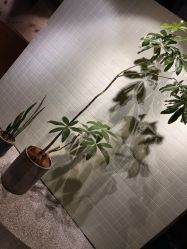 点击看大图 -LILY NAILS美甲美睫