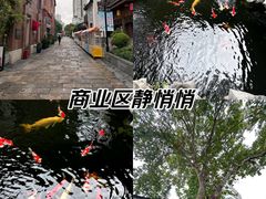 -鲤院·新中式美学·庭院餐厅(夫子庙店)