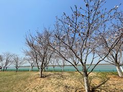 -幕燕滨江·燕子矶公园
