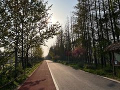 -上海长兴岛郊野公园