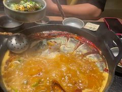 -大龙燚·旷野鲜火锅(广州首店)