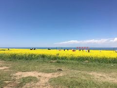 -青海湖国家重点风景名胜区