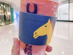 -春丽小马(济南恒隆广场店)