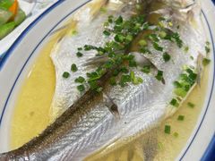 清蒸鲜白鱼-锡和无锡菜(景丽苑店)