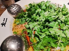 -太二酸菜鱼(汕头苏宁广场店)