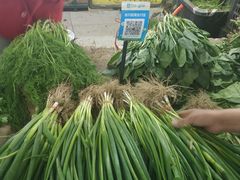-金宝生活市场(东五环店)