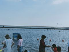-碧海金沙
