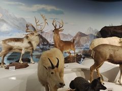 -陕西自然博物馆