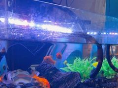 -三个大叔东北烧烤·砂锅菜(西三旗店)