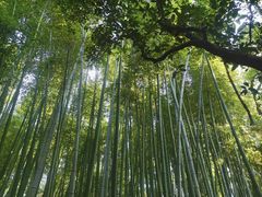-汇龙潭