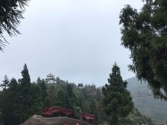 -玉苍山国家森林公园