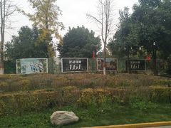 游乐设施-西安汉城湖景区