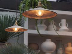 -自由生长植物工作室(深港花卉中心店)