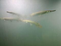 -绍兴梦享海洋公园