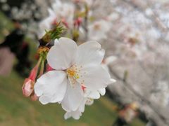 -苏州上方山国家森林公园