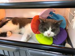 -芭比堂动物医院·犬猫全科·异宠专科(雁塔分院)