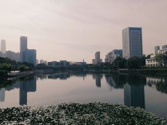 -后襄河公园