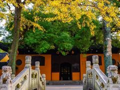 -西园戒幢律寺
