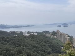 -浔味·山屿湖·正宗淳牌全鱼宴老字号