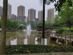 -龙头寺公园