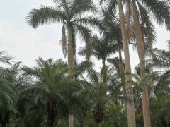 -人民公园(罗湖区)