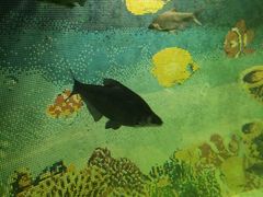 -鞍山岫岩沟汤温泉