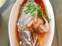 -七鲜渔港美食餐厅(巽寮湾海景店)